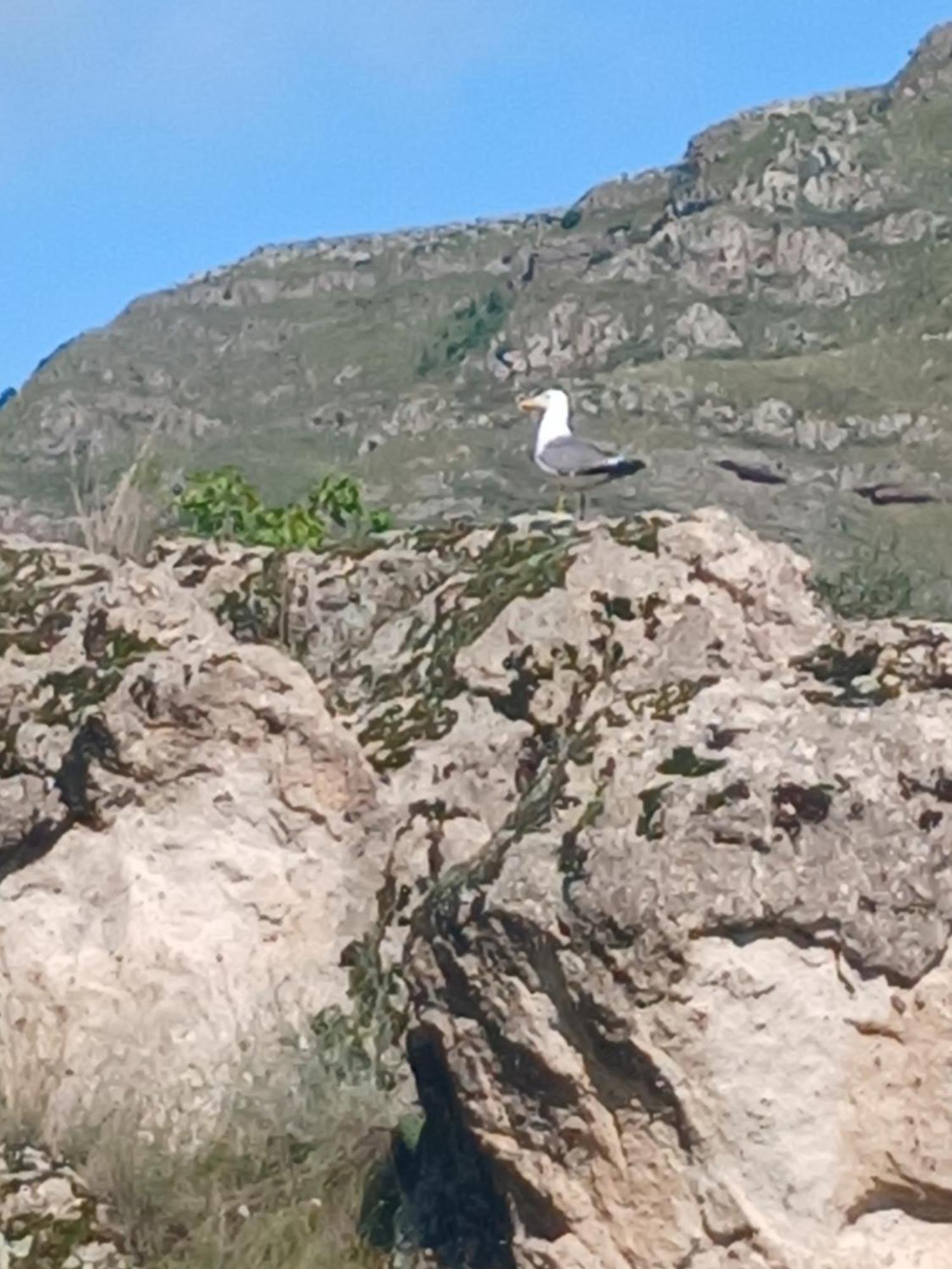 Vardzia Сhachkari Εξωτερικό φωτογραφία